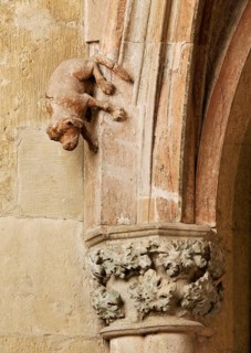 North aisle, Heinrich-und-Kunigunden altar from around 1320, detail dog, St., Sankt, Saint