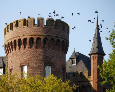 Moyland, castle park in spring