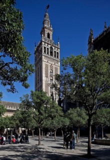Seville, Cathedral. Bell tower GIRALDA in front of orange courtyard Seville, St., Saint, Saint