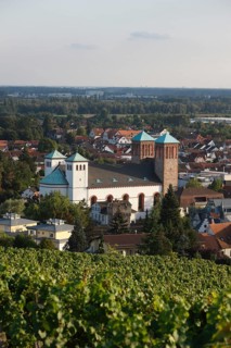Built in 1830 by Georg Moller, rebuilt 1949-1953, view from the Kirchberg, Abends, St., Sankt,