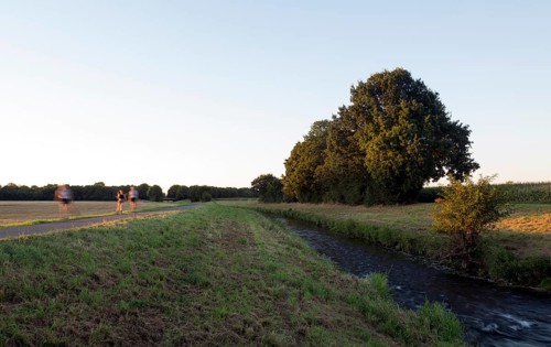 Erftstadt, Erft bi Liblar