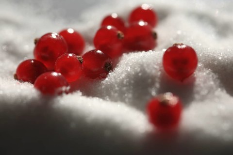 Red currant, (Ribes rubrum) or garden currant, Red currant with sugar, Redcurrant, gooseberry