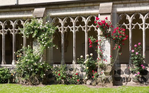 Cloister with roses, St., Saint, Saint