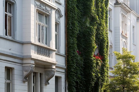 Wilhelminian style house facades, House covered with ivy