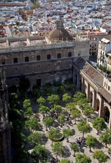 Seville, Orange Courtyard above the baroque church of El Sagrario, St., Saint, Saint