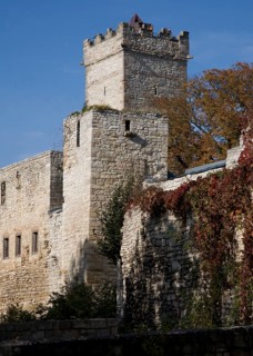 Eckartsburg with maiden tower and western keep