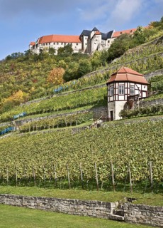 Freyburg/Unstrut, Neuenburg Castle and ducal vineyard