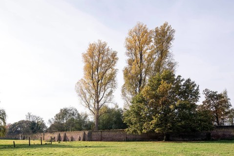 View of the monastery wall