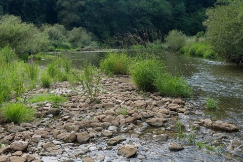 Low water level in the Kocher valley near Braunsbach, climate impact, climate change, gravel bank,
