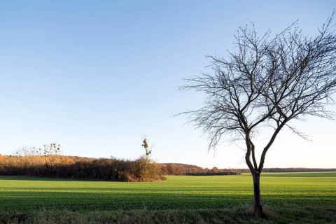 Erftstadt, Bliesheimer Feld and Altwald Ville