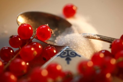Red currant, (Ribes rubrum) or garden currant, Red currant with sugar, Redcurrant, gooseberry