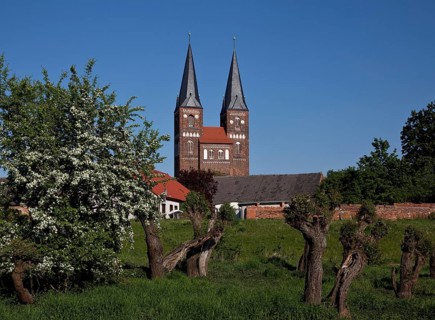 Towers seen from the west from the Elbe floodplain, in front pollarded willows, St., Sankt, Saint