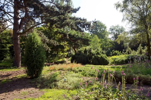 Cologne, Flora and Botanical Garden