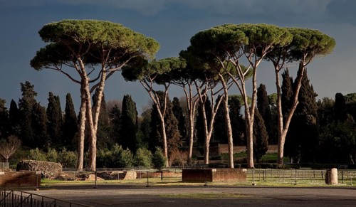 Rome, Caracalla Thermal Baths 32912