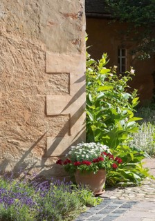 Herb garden between Abthaus and Infirmerie