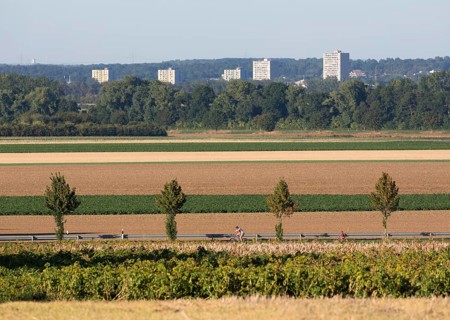 Erftstadt, view from the Römerstraße near Friesheim to the tower blocks in Liblar