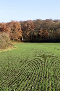 Erftstadt, Bliesheimer Feld and Altwald Ville