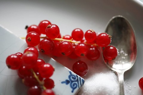 Red currant, (Ribes rubrum) or garden currant, Red currant with sugar, Redcurrant, gooseberry