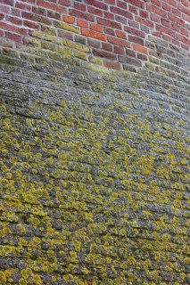Moyland, castle park in spring