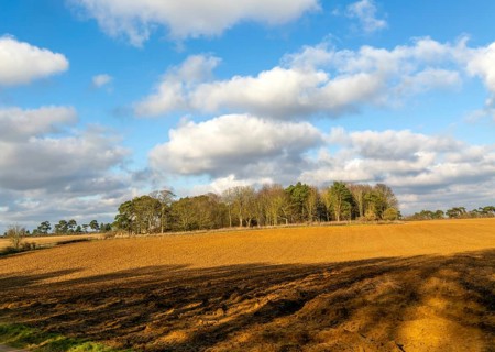 Sunny winter landscape cumulus clouds blue sky, copse of trees and ploughed field, Ramsholt,