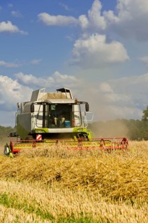 Combine harvester