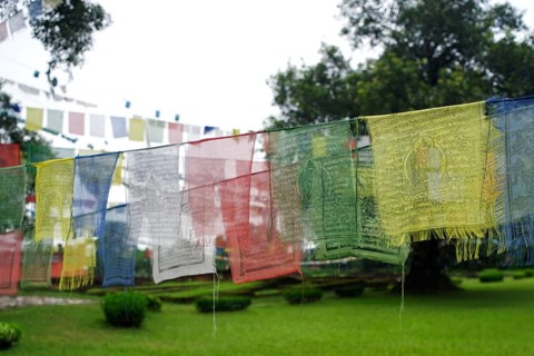 Holy scripture, UNESCO World Heritage site, Gautam Buddha's birthplace at Lumbini, Nepal, Asia