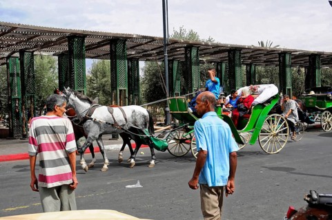 UNESCO World Heritage Site, Marrakech, Morocco, Carriage with horses travelling on a busy city