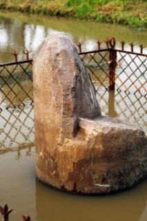 Gotihawa is birthplace of Krakuchhanda Buddha, Ashoka pilgrimage pillar, UNESCO World Heritage,