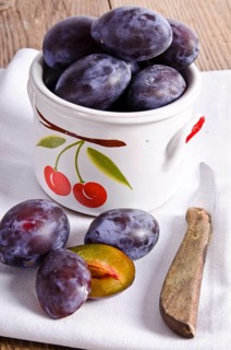 Prunus domestica