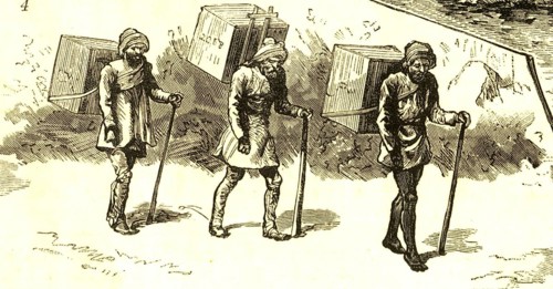 Coolies carrying tea, India, Asia
