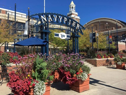 Colourful flowers and Navy Pier sign in sunny weather create a lively atmosphere, chicago,