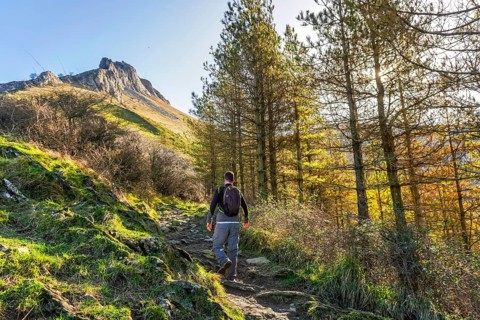 Male hiker walking a rocky path through pine trees on the slopes of mount txindoki in gipuzkoa,
