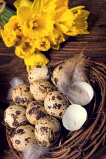 Easter eggs and daffodils