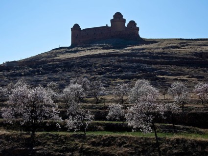Spain Andalucia La Calahorra Castillo de La Calahorra 52281