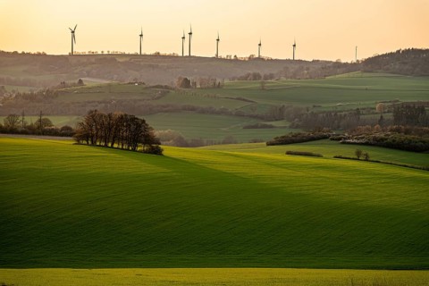 Gentle green hills with a group of trees and wind turbines on the horizon at sunset, between Bad
