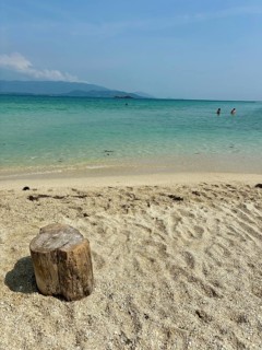 Wooden log on a quiet beach with gentle waves under a blue sky, koh samui, thailand