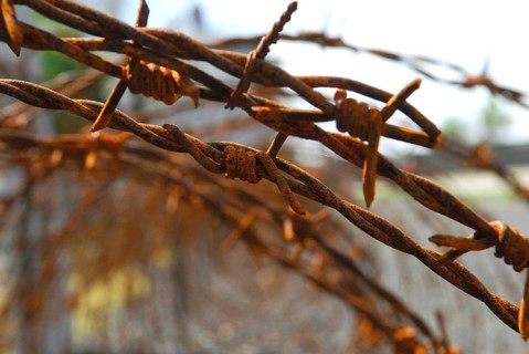 Barbed fence, Germany, Europe
