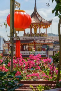 Red lantern in front of blooming flowers with traditional temple architecture in the background,
