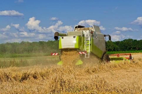 Combine harvester