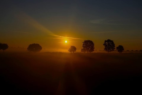 View of a landscape in the morning fog at sunrise with trees rising into the fog in autumn, Fehmarn