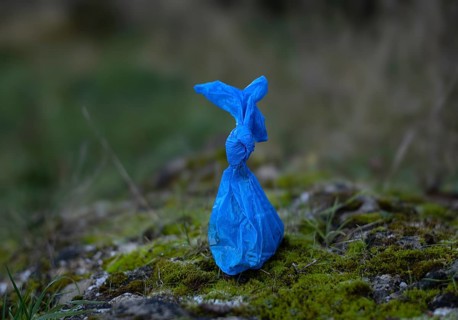 Dog excrement bag, blue, bag with dog excrement, disposed of in nature, Fellbach,