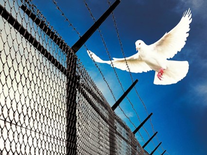 Symbolic image, dove of peace, peoples, international understanding, peace, threat of war, freedom,