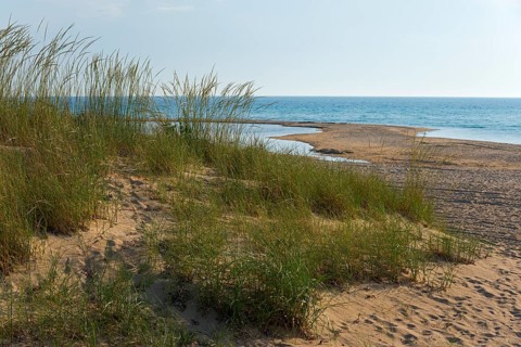 Coastal landscape with grasses on dunes, sea and blue sky, beach at Nea Kallikratia, Chalkidiki,