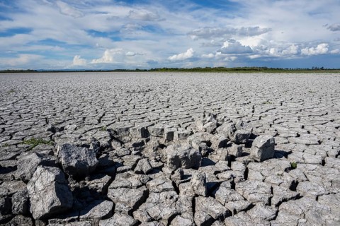 Cracked earth, heavily dried out Zicksee, Lake Neusiedl-Seewinkel National Park, Burgenland,