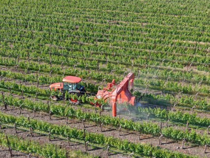 Farm tractor spraying pesticides and insecticides herbicides over green vineyard field. Napa