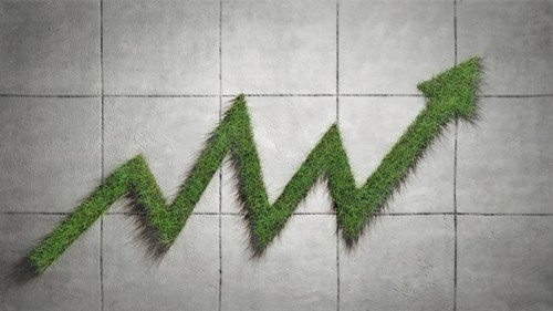Symbolic image on the subject of life cycle assessment, sustainability, greenwashing, etc
