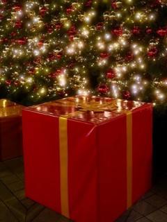 Parcel under the Christmas tree, decoration, Roermond, Netherlands