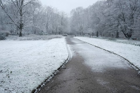 Winter road in the park