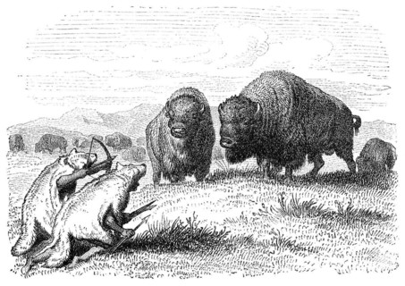 Native american buffalo hunters dressed as coyotes. Engraving by unknown artist from Ernst von