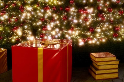 Parcel and books under the Christmas tree, Decoration, Roermond, Netherlands